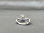 Round Solitaire Six-Claw Ring | Classic Plain Band | Timeless Design | Lab-Grown Diamond - Image 5